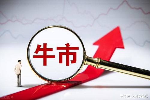 知識(shí)產(chǎn)權(quán)保護(hù)概念股蓄勢(shì)待發(fā) 政策風(fēng)口下，龍頭引領(lǐng)行業(yè)機(jī)遇