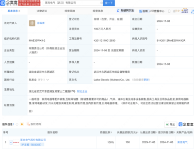 萊克電氣武漢布局新動向:全資子公司盛大開業(yè),瞄準家電市場新機遇!