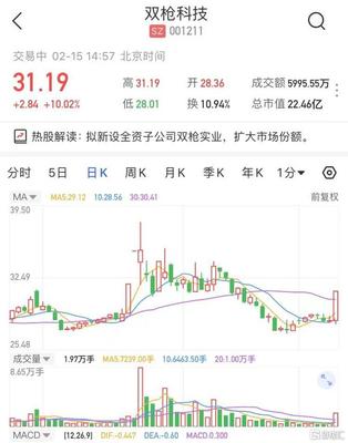 A股異動 雙槍科技(001211.SZ)漲停 擬新設全資子公司雙槍實業(yè)